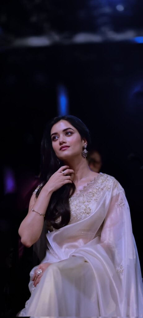 Bhagyashri Borse Movies