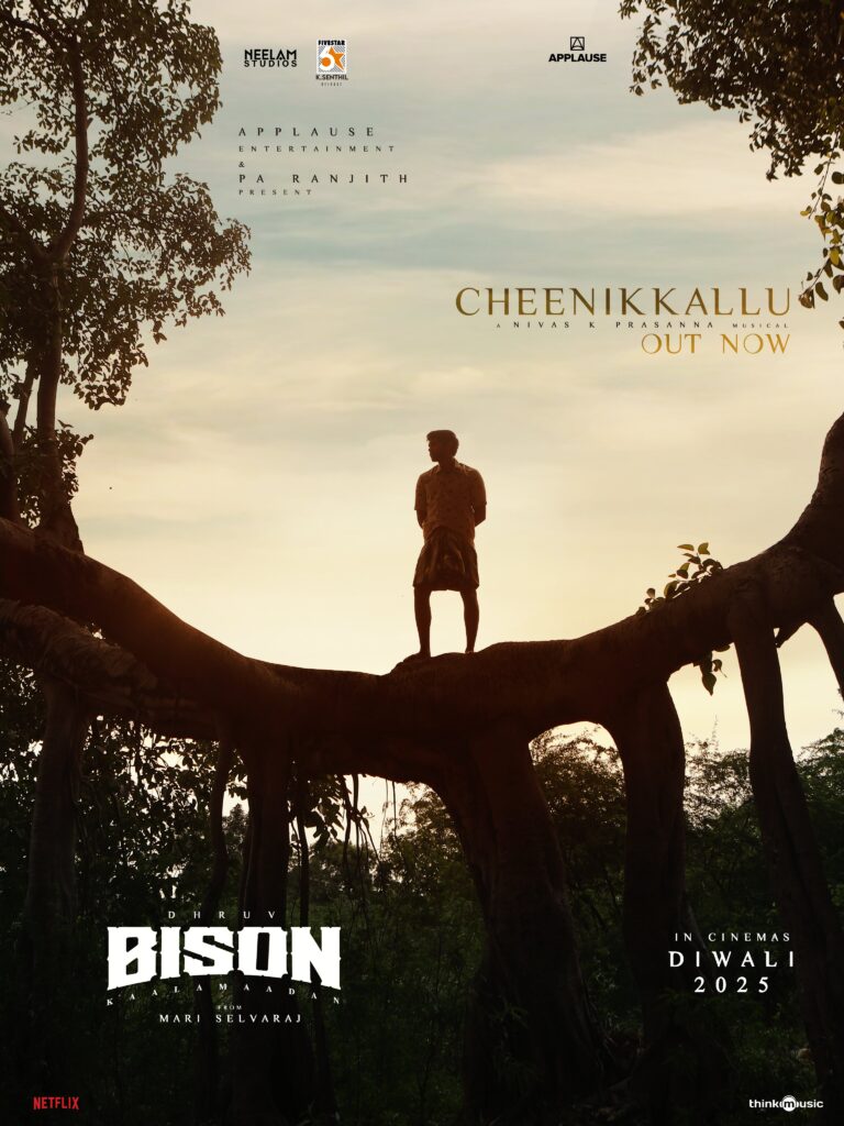 Cheenikkallu Song Lyrics Translation