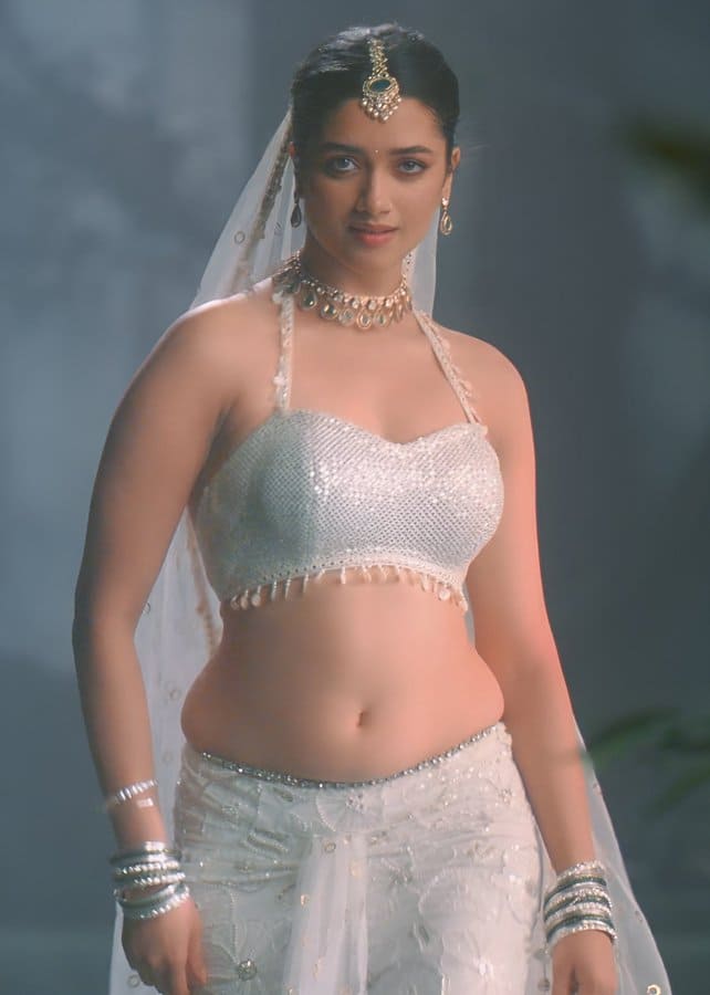 Bhagyashri Borse Movies