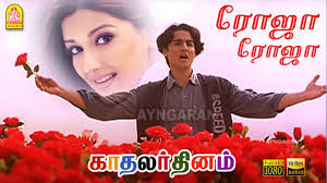 Roja Roja Song Lyrics Translation